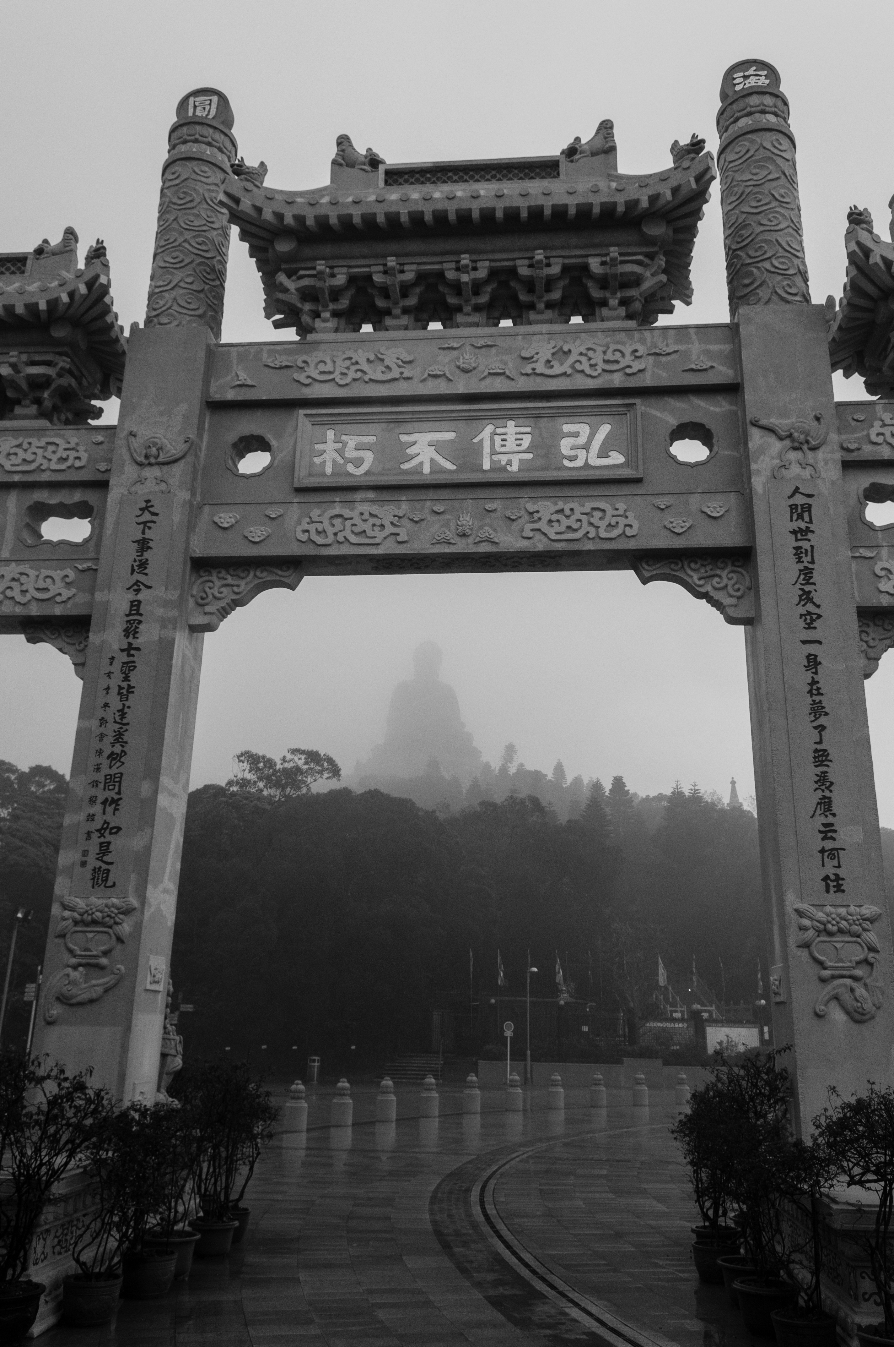 宝莲禅寺与天坛大佛远景